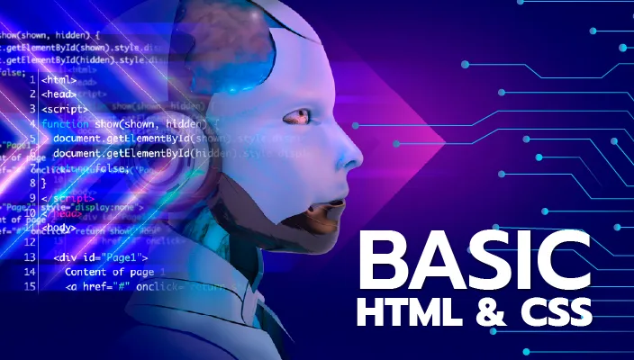 Basic HTML & CSS Bootcamp