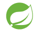 springboot_logo